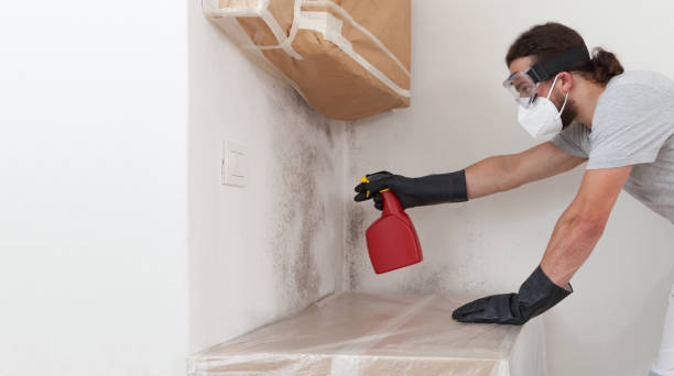 Professional Attic Mold Removal technician working in Manasquan, NJ