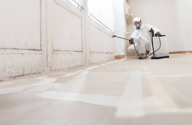 24/7 Emergency Attic Mold Removal experts in Manasquan, NJ